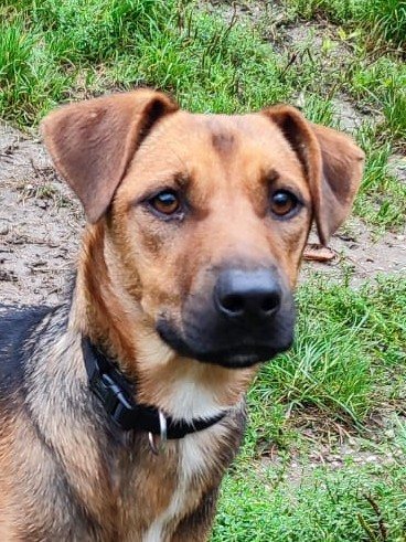 Mehr Info zu Ivy