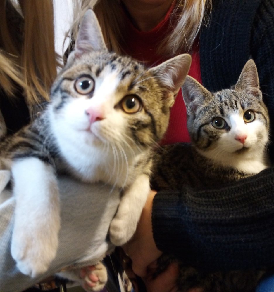 Franzi  und Fini