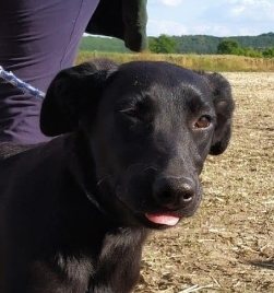 Mehr Info zu Kelly