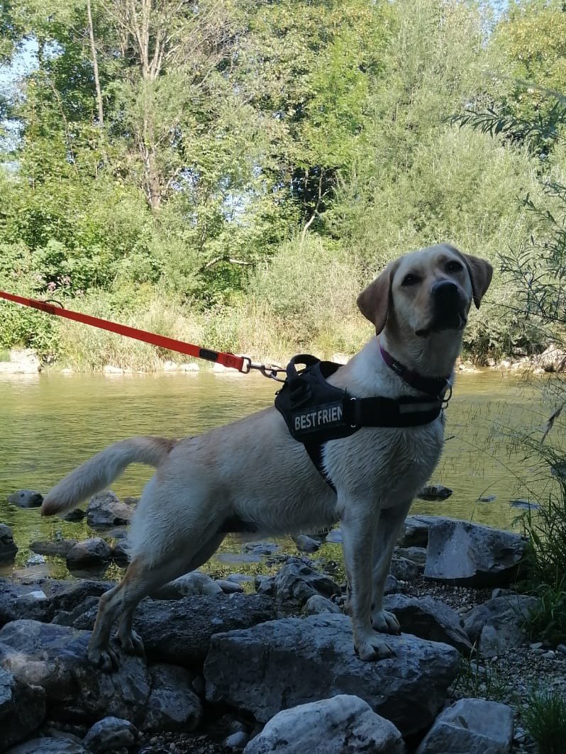 Mehr Info zu Lilli
