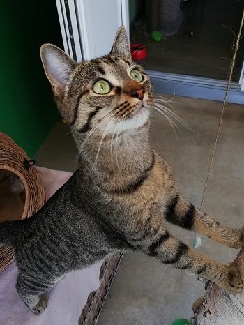 Mehr Info zu Loki