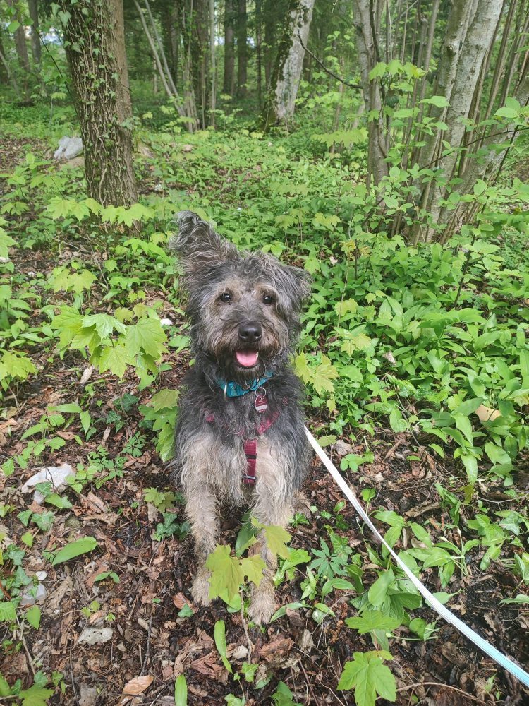 Mehr Info zu Lucky