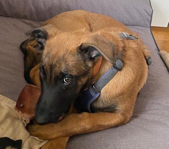 Max