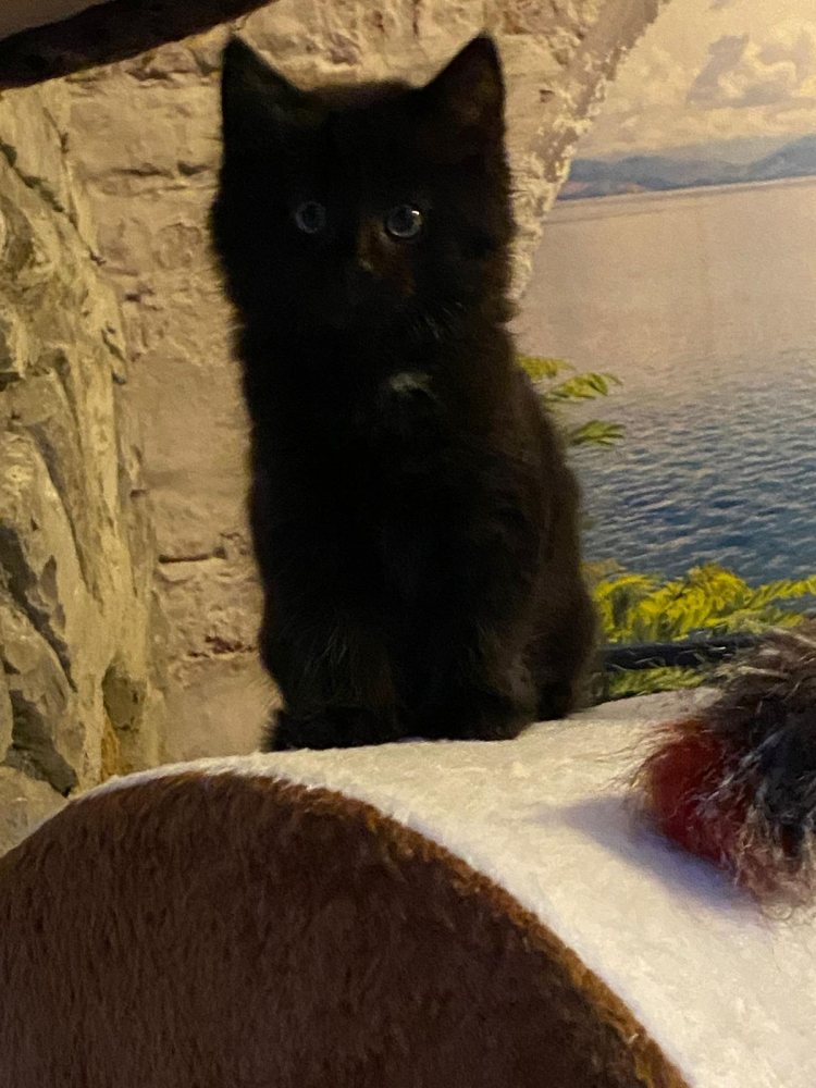 Mehr Info zu Oscar und Maya