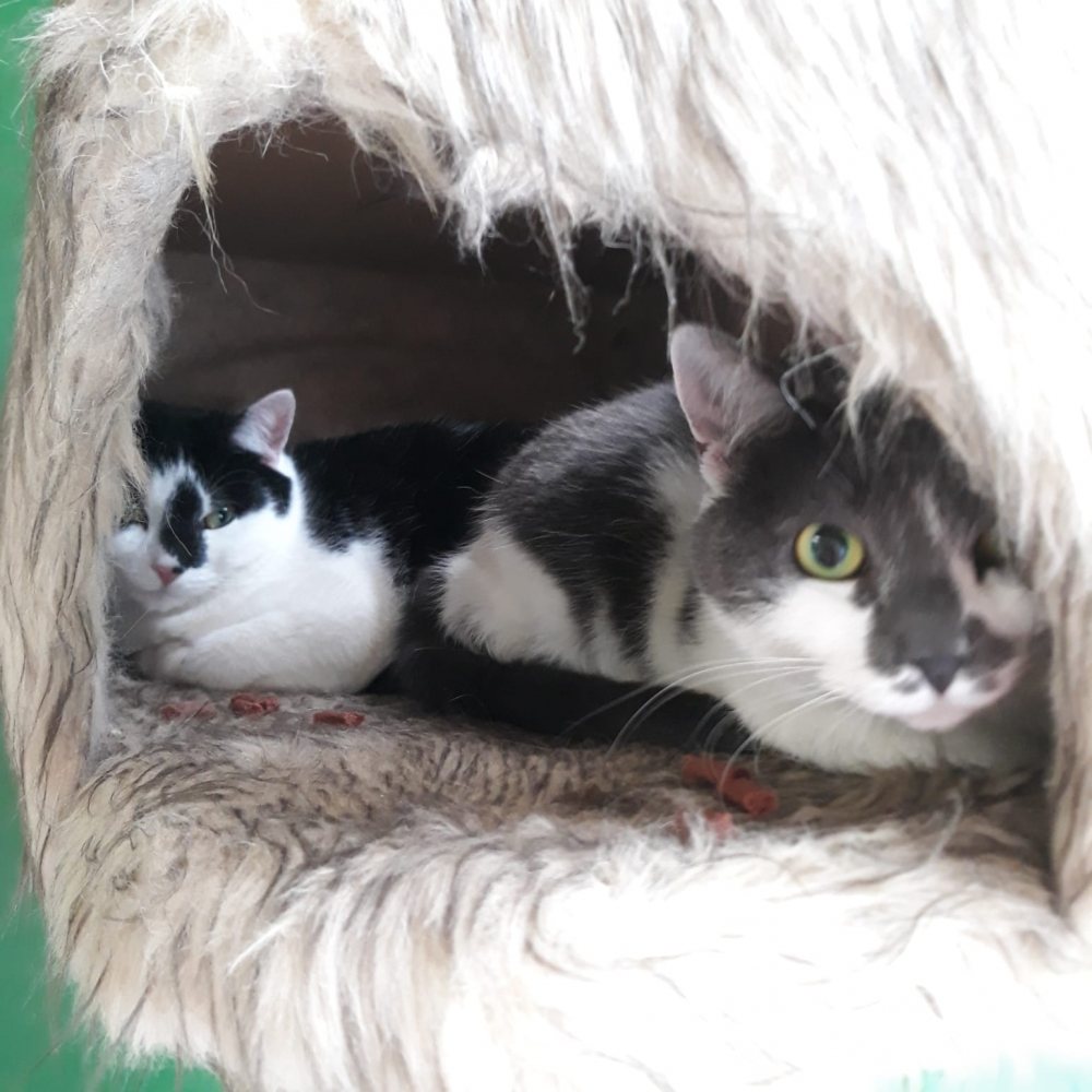Mehr Info zu Mia und Meggy