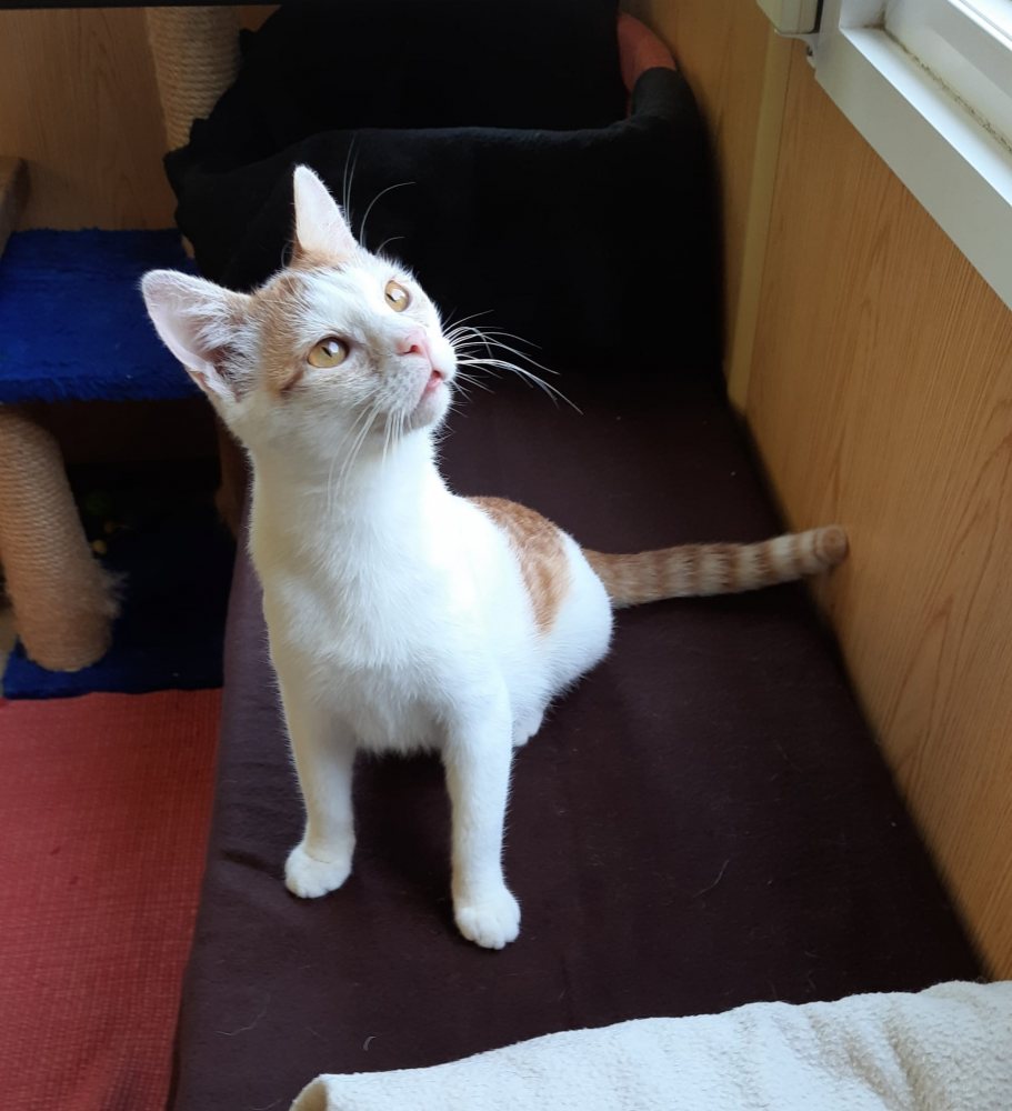 Mehr Info zu Micky