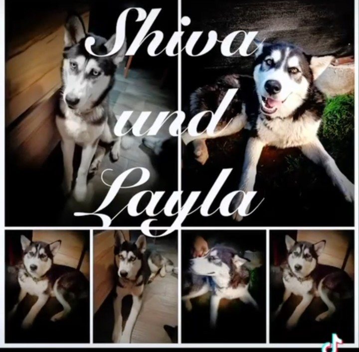 Midra und Cerce