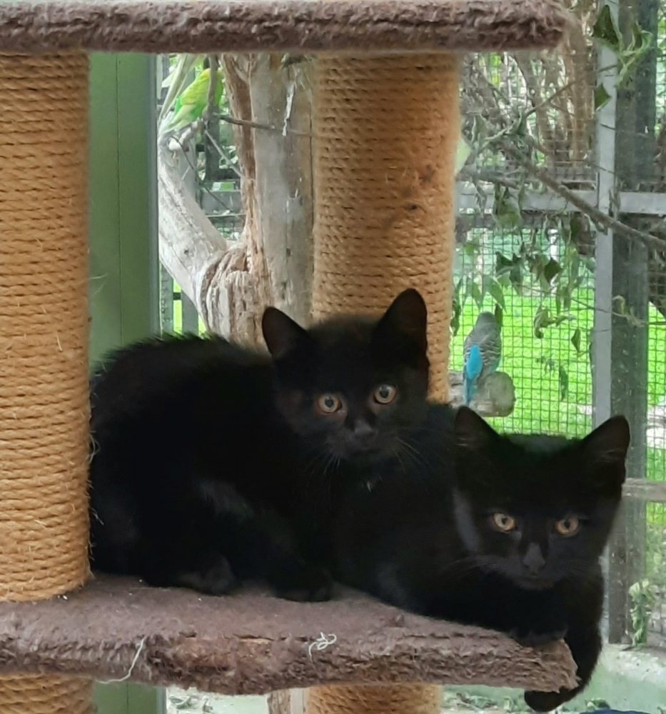 Paul und Pauline