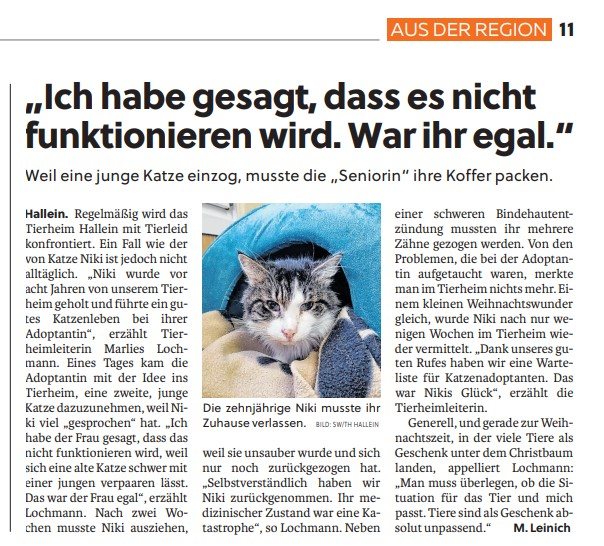 Die Geschichte von Katze NIKKI in den Tennengauer Nachrichten 19.12.24