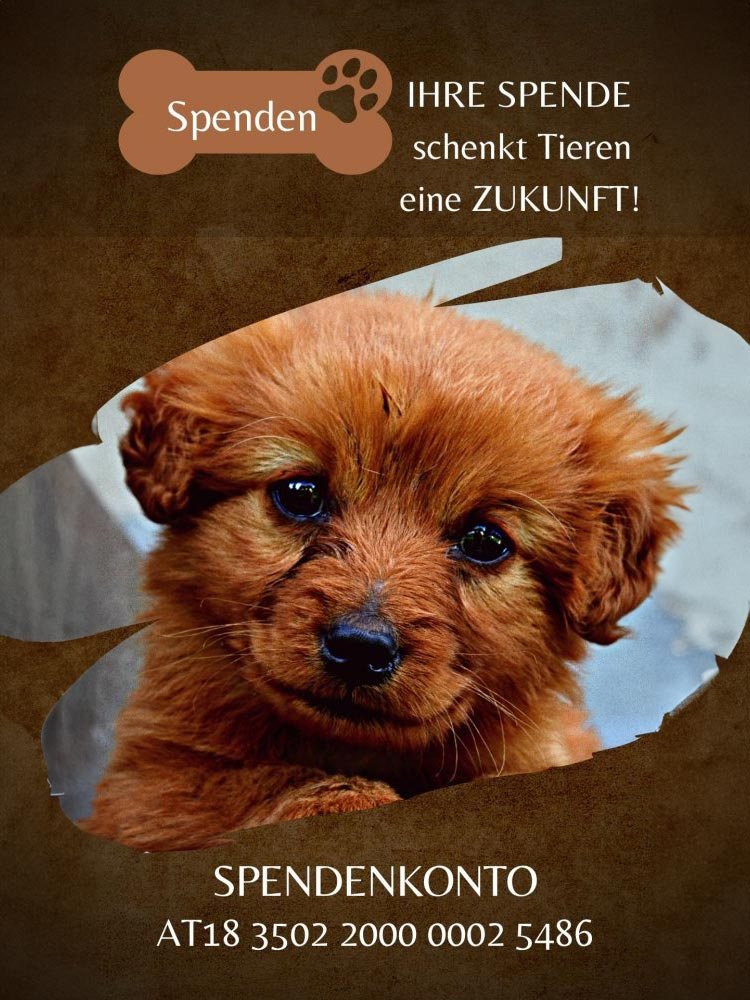Sie möchten spenden? 