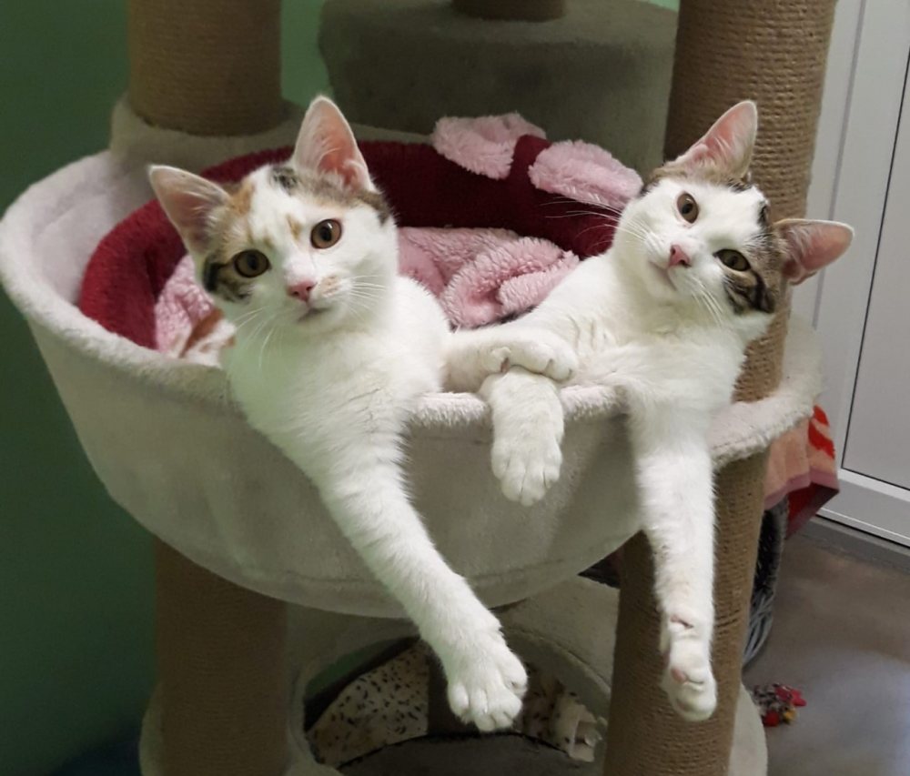 Mehr Info zu Cindy und Bert