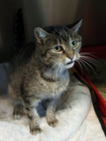 Mehr Info zu Sunny