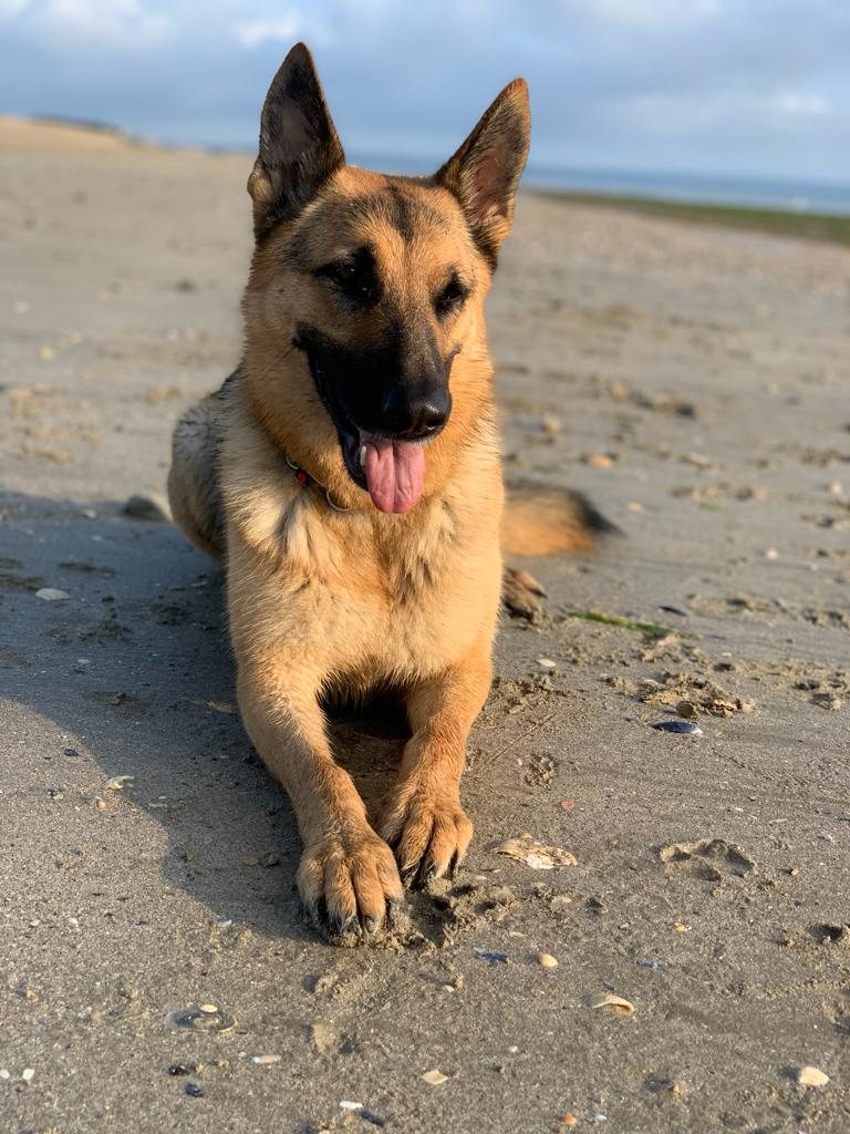 Mehr Info zu Tilly