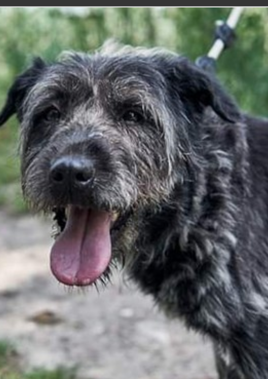 Mehr Info zu Vicky  (Vacanc)