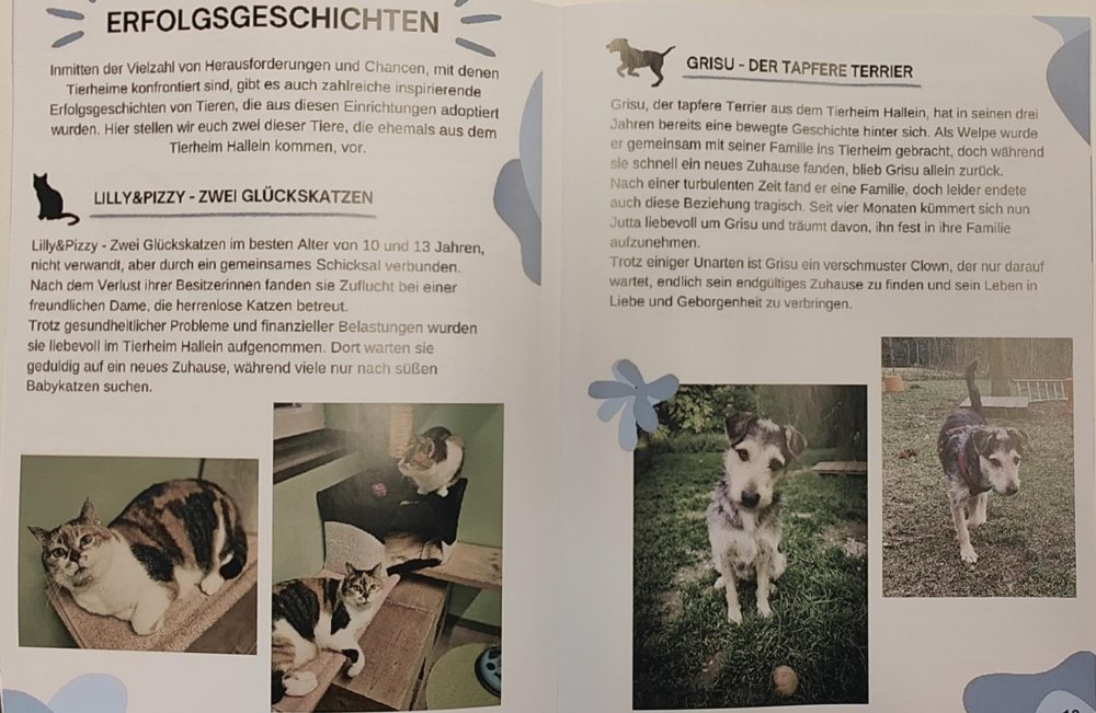 Magazin- Tierschutz von Heute