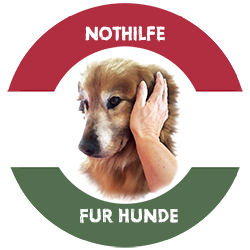 Herzlich Willkommen bei Nothilfe für Hunde e.V.