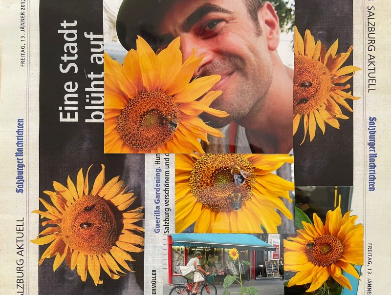 Sommerausstellung Guerilla-Gardening
