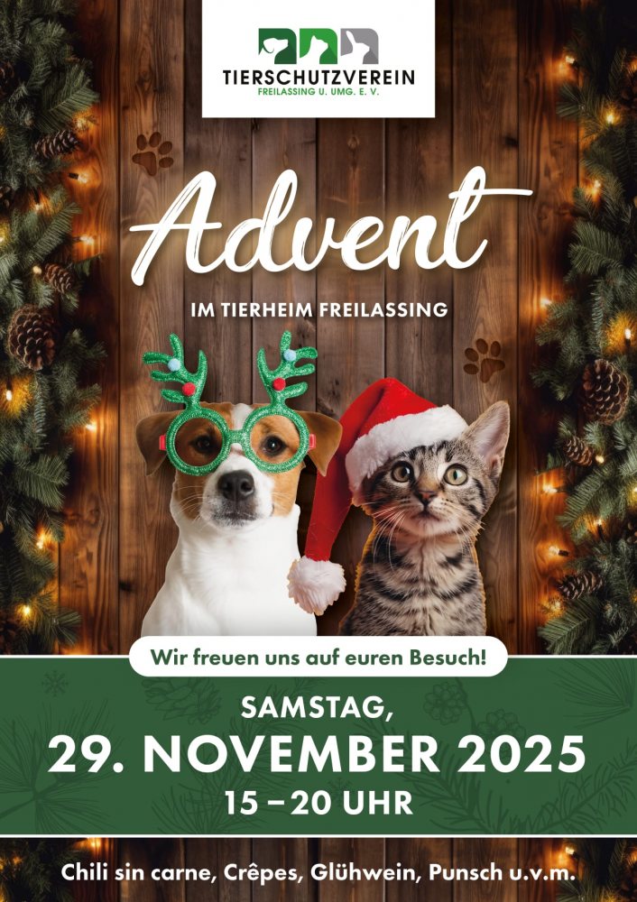 Advent im Tierheim