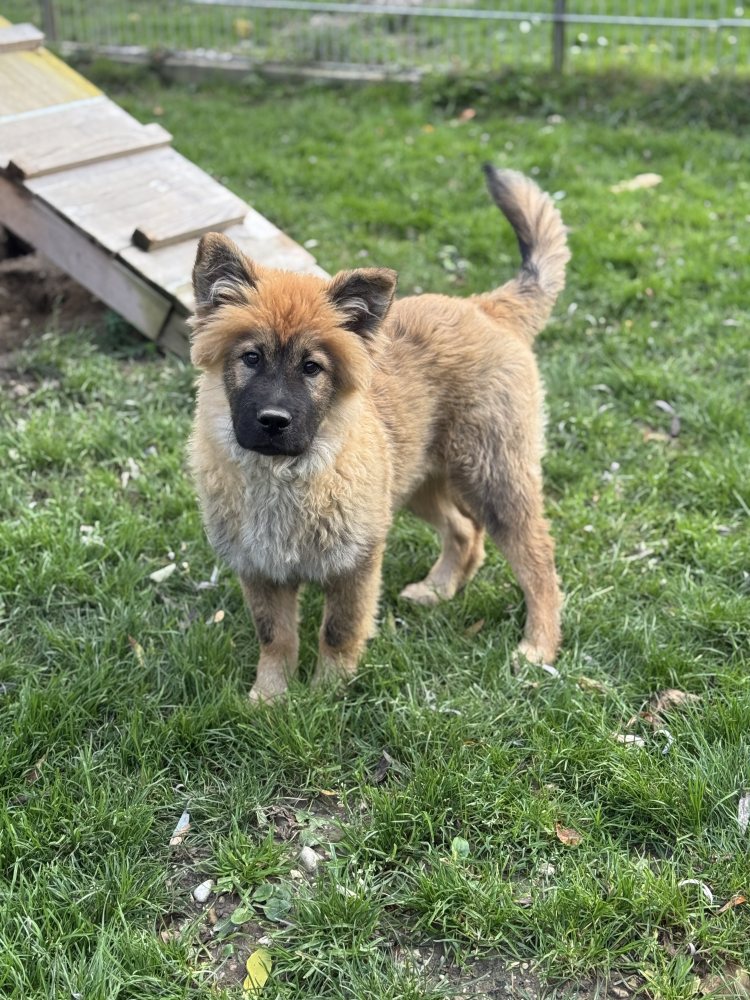 Mehr Info zu Hermann